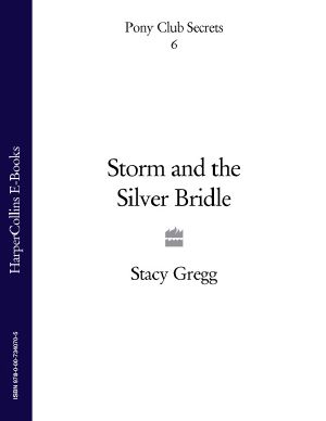 [Pony Club Secrets 06] • Storm and the Silver Bridle